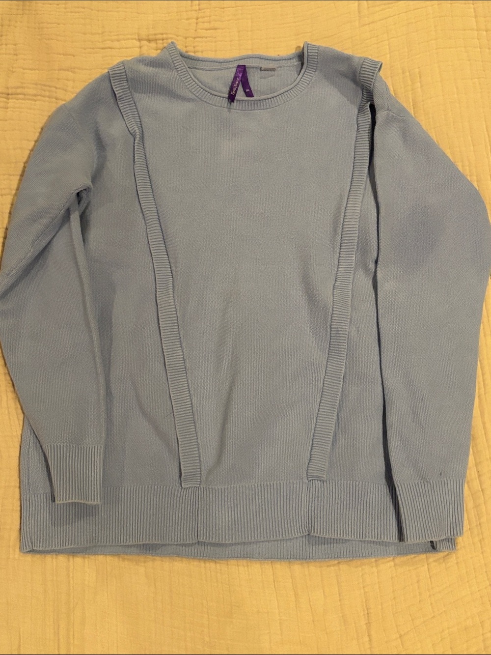 Seraphine Pale Blue Crewneck Sweater with Rib Panel Accents